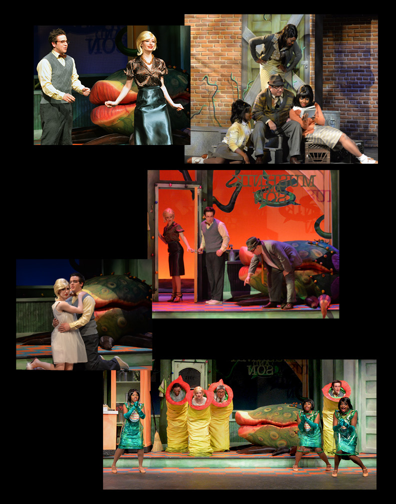 RRCALLAN PORTFOLIO349.jpg